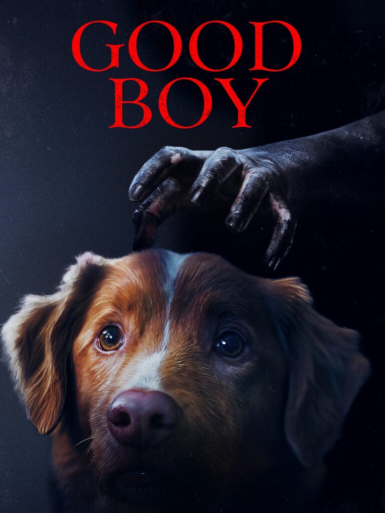 Good Boy 2025